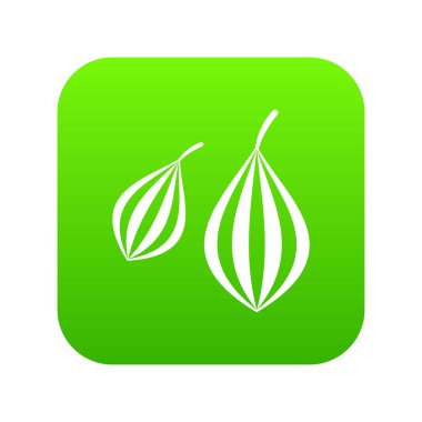 Trachyspermum annem simgesi dijital yeşil