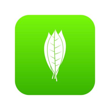 Mutfak defne yaprağı simgesi dijital yeşil