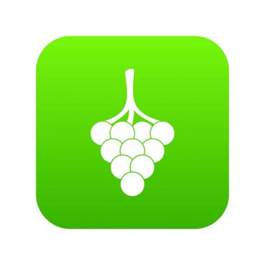 Şube simgesi Dijital Yeşil üzüm