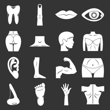 Gri vektör vücut parçaları Icons set
