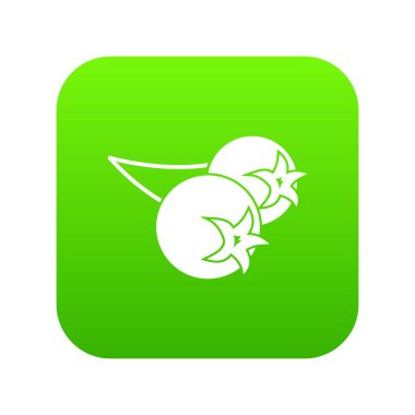 Chokeberry veya aronia berry simgesini dijital yeşil