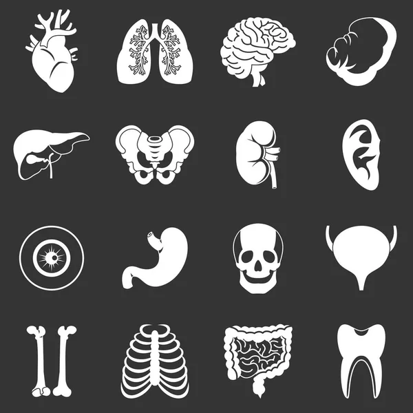 Human organs icons set grey vector — Stock Vector