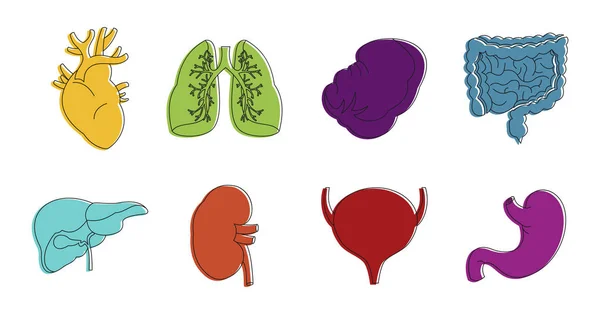Conjunto de iconos de órganos internos, estilo de contorno de color — Vector de stock