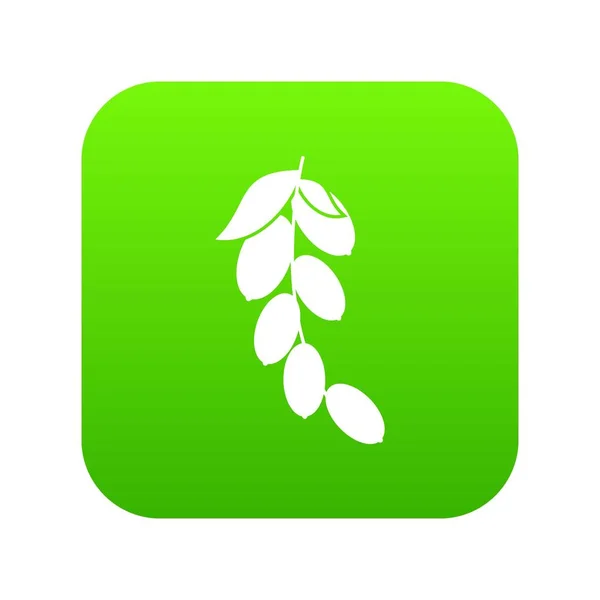 Tak van cornel of kornoelje bessen pictogram digitale groene — Stockvector