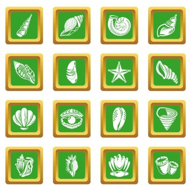 Yeşil kare vektör tropikal deniz kabuğu Icons set