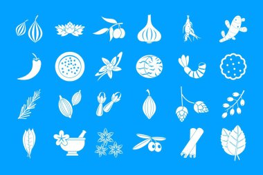 Baharat simgesi mavi set vektör