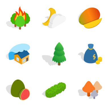 Vivacity Icons set, izometrik stili