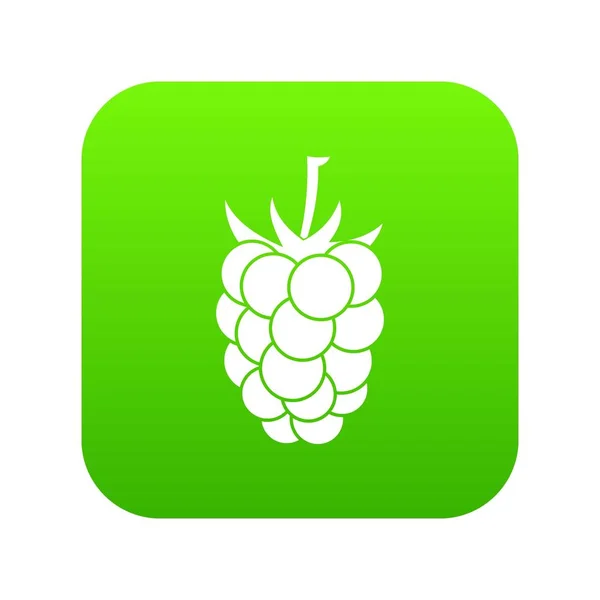 Blackberry icône de fruits vert numérique — Image vectorielle