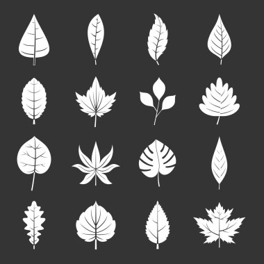 Bitki Icons set gri vektör yapraklar