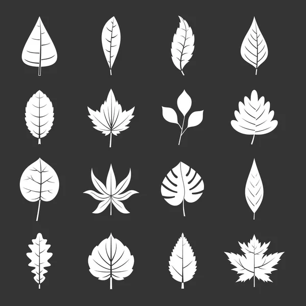 Plant bladeren iconen set grijs vector — Stockvector