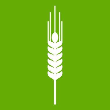 Olgun arpa simgesi yeşil sapı