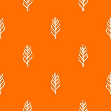 Spica'nın model sorunsuz