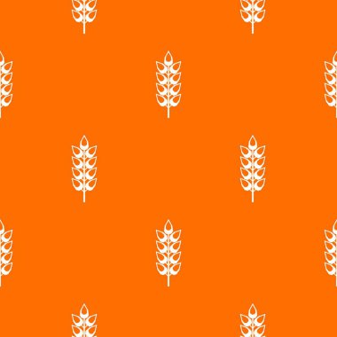 Uzun spica desen sorunsuz