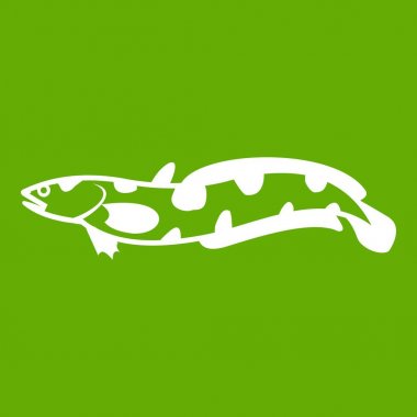 Anarhichas balık simgesi yeşil