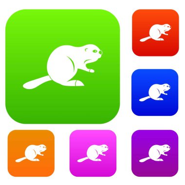 Kanada kunduz renk koleksiyonu ayarla