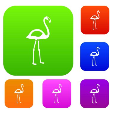 Flamingo renk koleksiyonu ayarla