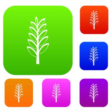  Spica renk koleksiyonu ayarla