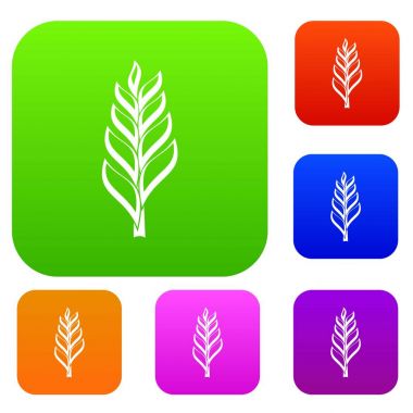 Bir Başak renk koleksiyonu ayarla