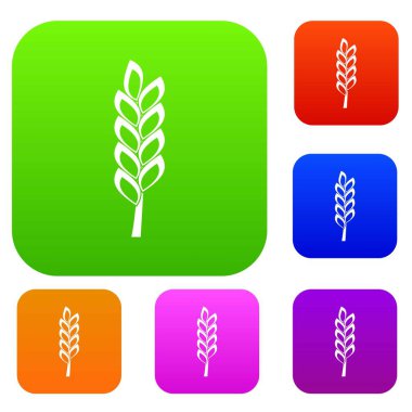 Bir spike renk koleksiyonu ayarla