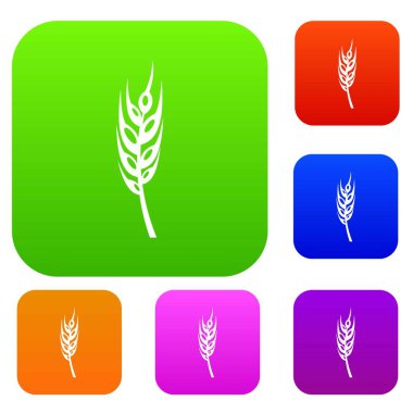 Arpa spike renk koleksiyonu ayarla