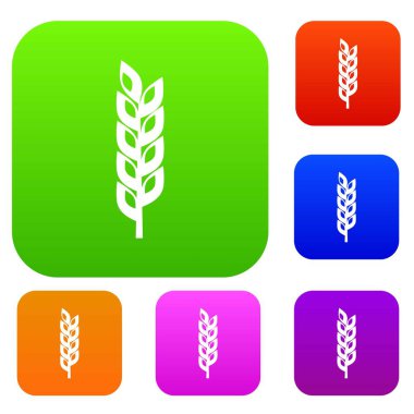 Tahıl spike renk koleksiyonu ayarla