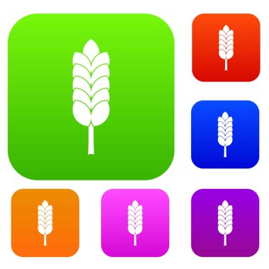 Büyük spica renk koleksiyonu ayarla