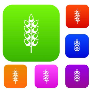 Uzun spica renk koleksiyonu ayarla