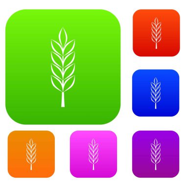 Buğday Başak renk koleksiyonu ayarla