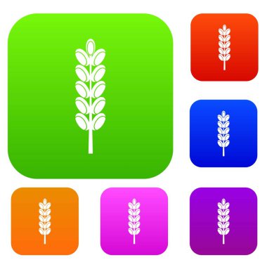 Alan spike renk koleksiyonu ayarla