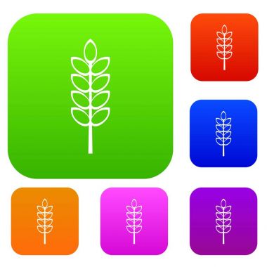 Giriş spike renk koleksiyonu ayarla