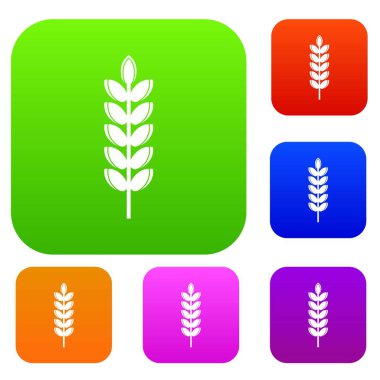 Büyük tahıl spike renk koleksiyonu ayarla