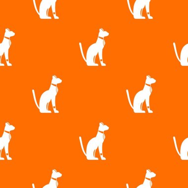 Mısır kedi desen sorunsuz