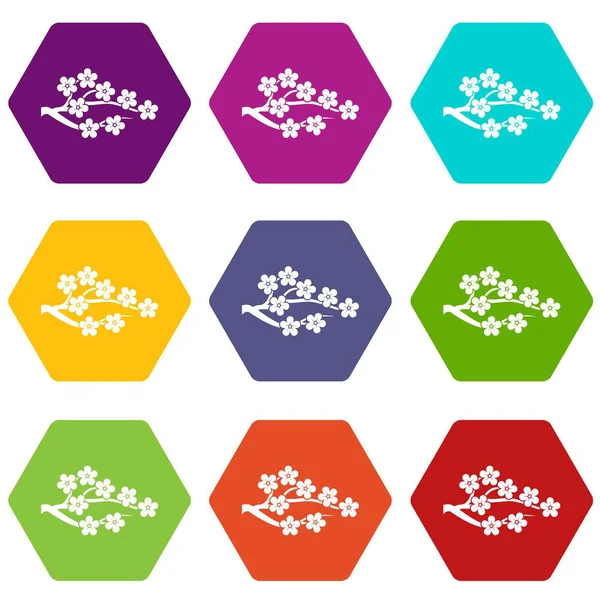 Sakura icono conjunto hexaedro de color — Vector de stock