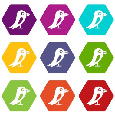 Renk altı yüzlü sosyal ağ kuş simgesi ayarla