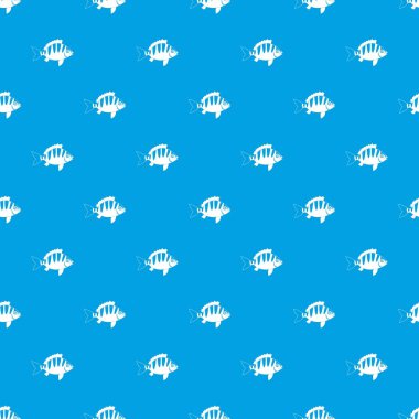 Kesintisiz mavi levrek desen