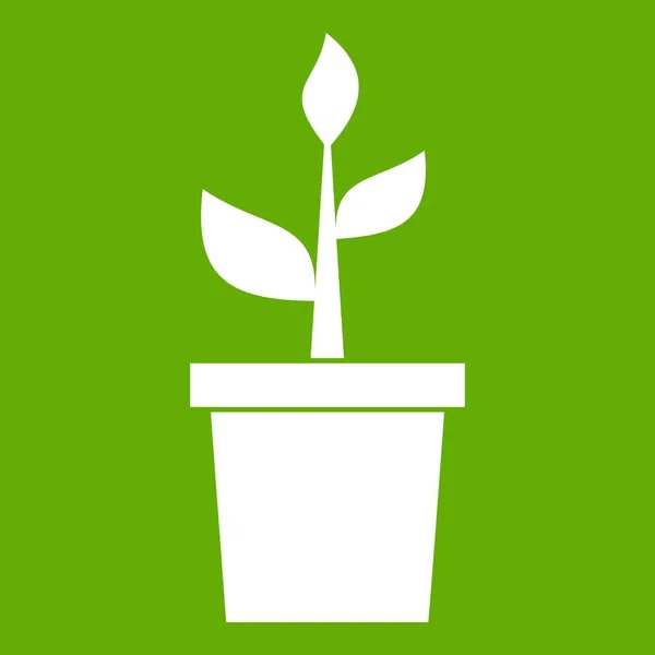 Planta em pote de barro ícone verde — Vetor de Stock