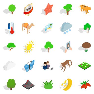 Icons set, izometrik stili korumak