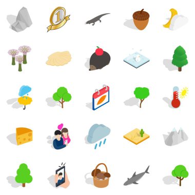 Rezervasyon Icons set, izometrik stili