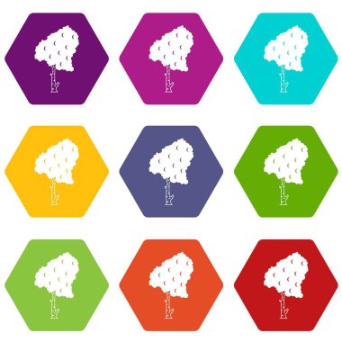Renk altı yüzlü huş Icon set