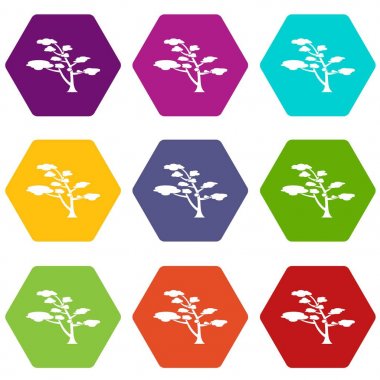 Renk altı yüzlü sedir Icon set