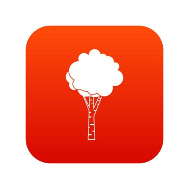 Huş ağacı simgesini dijital kırmızı