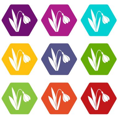 Renk altı yüzlü Bell çiçek Icon set