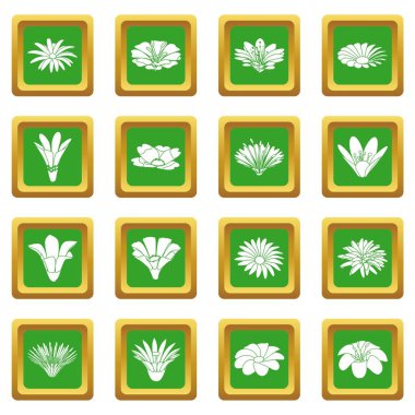 Yeşil kare vektör detaylı çiçek Icons set