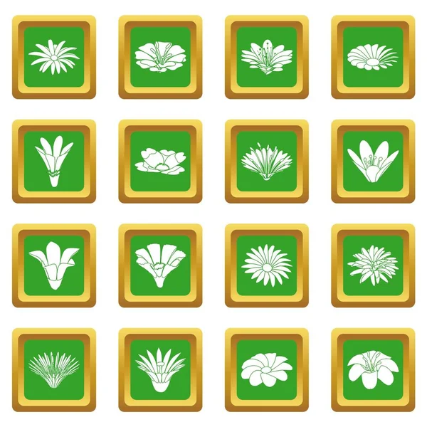 Gedetailleerde bloem pictogrammen instellen groene vierkante vector — Stockvector