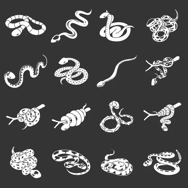 Ensemble d'icônes serpent vecteur gris — Image vectorielle
