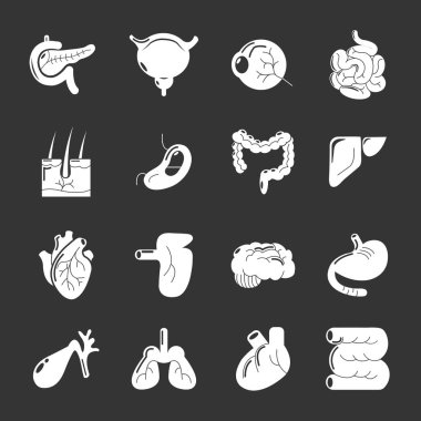 Gri vektör iç insan organlarını Icons set
