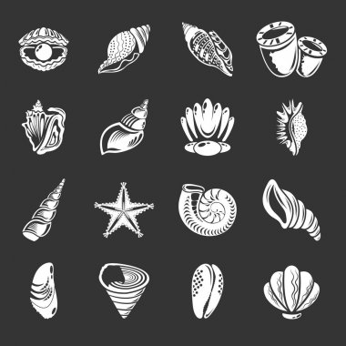 Gri vektör tropikal deniz kabuğu Icons set