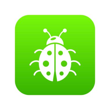 Uğur böceği yeşil simge vektör