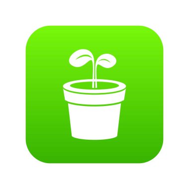 Bitki yeşil simge vektör