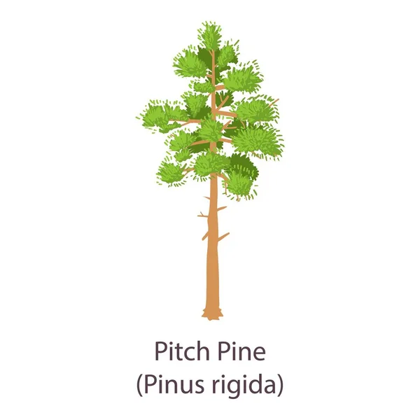 Pitch pine pictogram, vlakke stijl — Stockvector